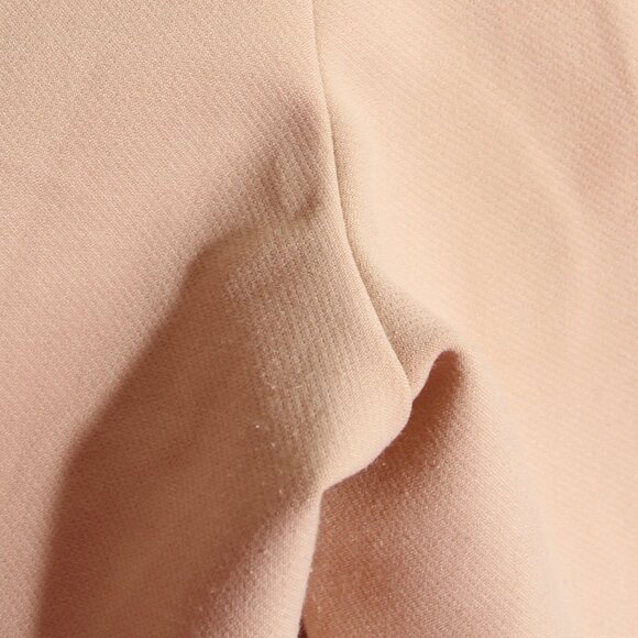 Alice + Olivia Dylan High Waist Wide Leg Pant Trousers Almond Pleated Size 2 - Picture 13 of 16